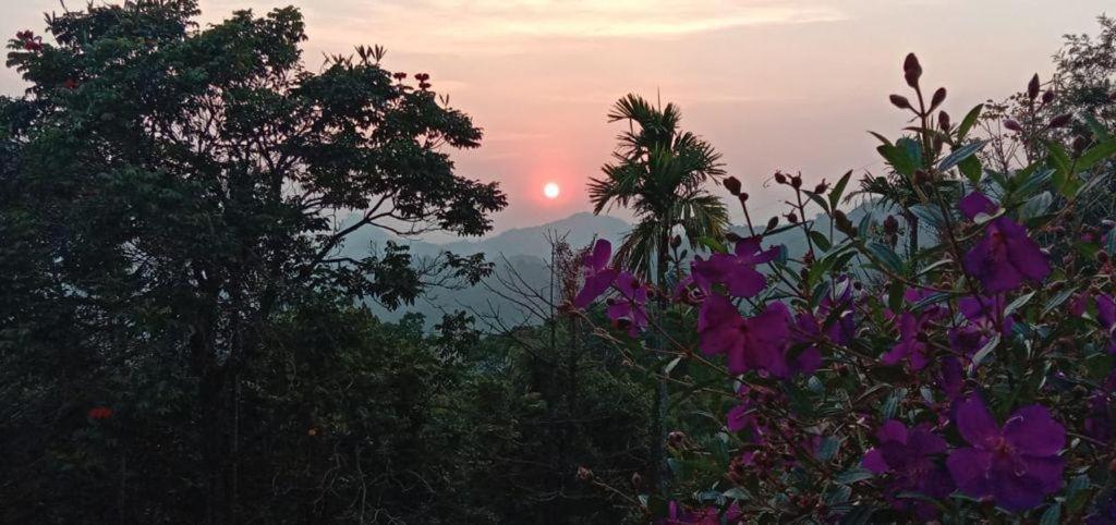 Munnar Tent Hills Resort Devikolam 外观 照片