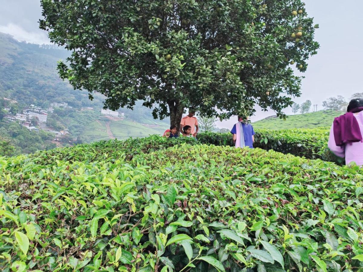 Munnar Tent Hills Resort Devikolam 外观 照片